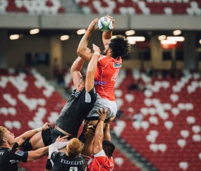 潘托加称对决堀口恭司是生涯荣耀 UFC蝇量级迎来传奇碰撞